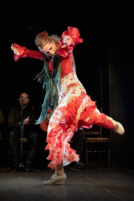 flamenco valencia